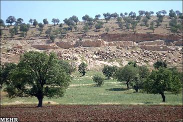 نابودی سالی۱۲هزارهکتارجنگل بام طبیعت ایران/ تب استان کوهستانی بالا رفت