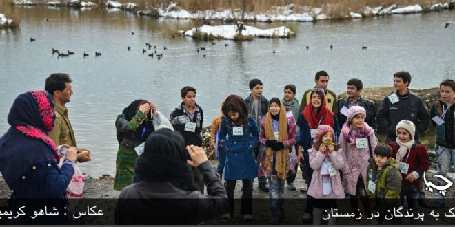 میزبانی کودکان چیا از پرندگان در تالاب زریبار