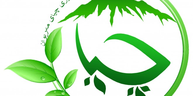 سپاس بۆ ئێوه که شایانی سپاسن