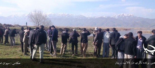 برگزاری دوره تخصصی پرنده نگری در تالاب زریبار