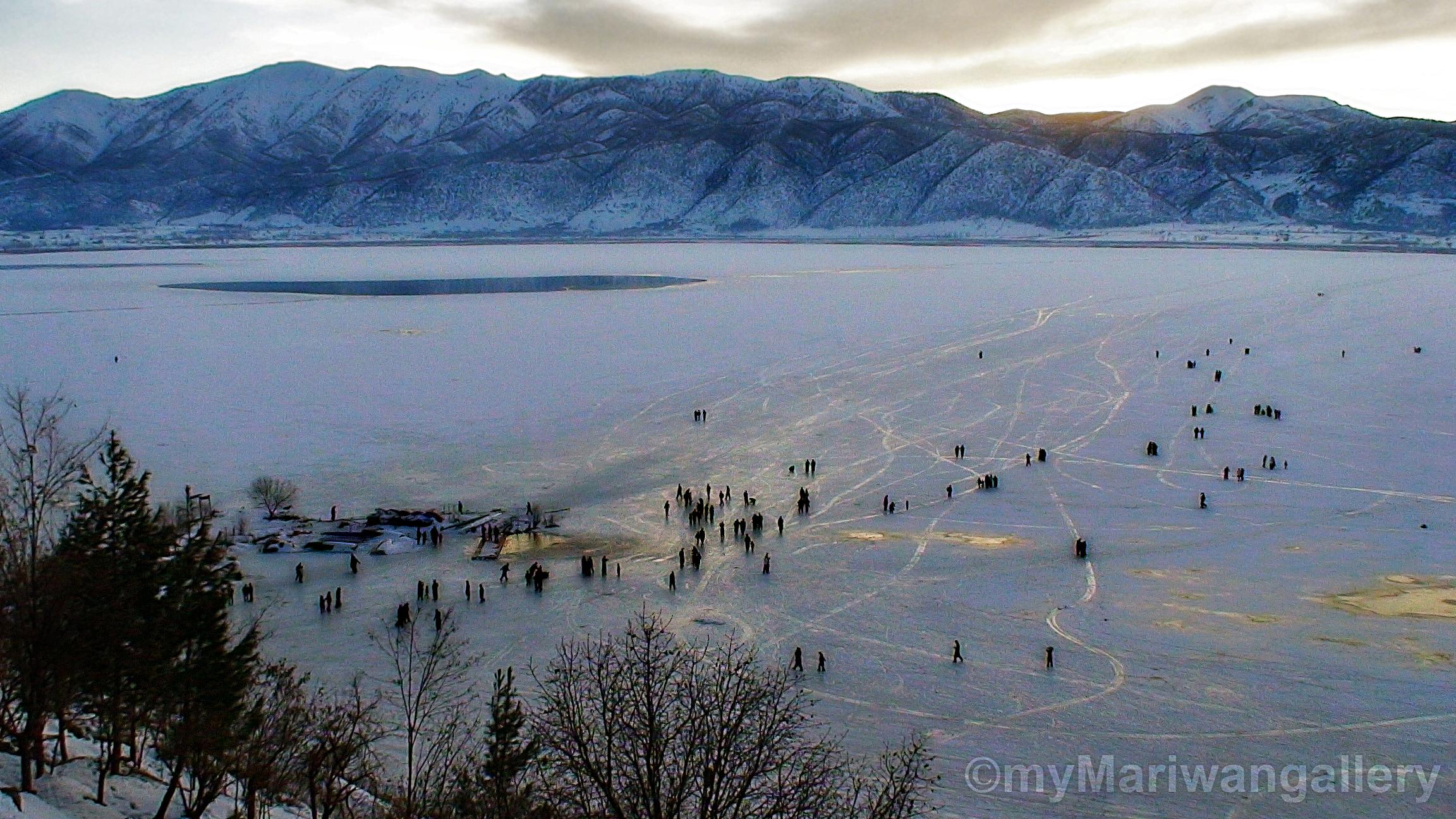 بانگەوازی کۆکردنەوەی بەرهەمە پێوەندیدارەکان لەگەل زرێبار