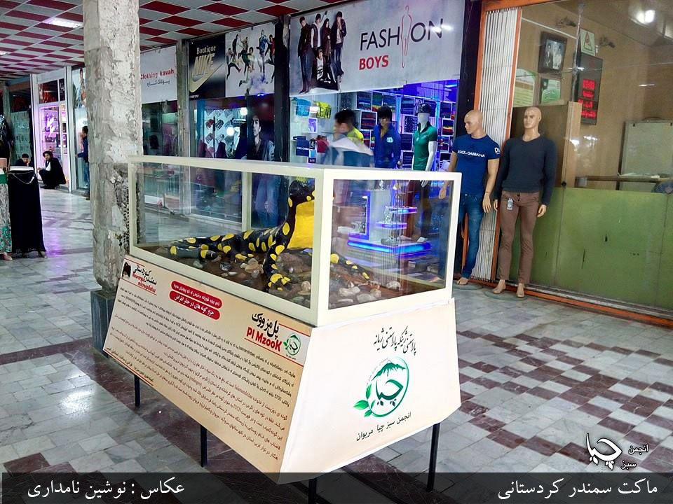 ساخت ماکت سمندر کردستانی