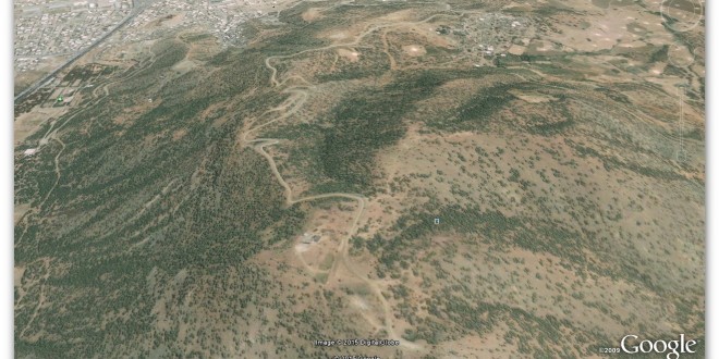 نگاهی به پارک جنگلی!