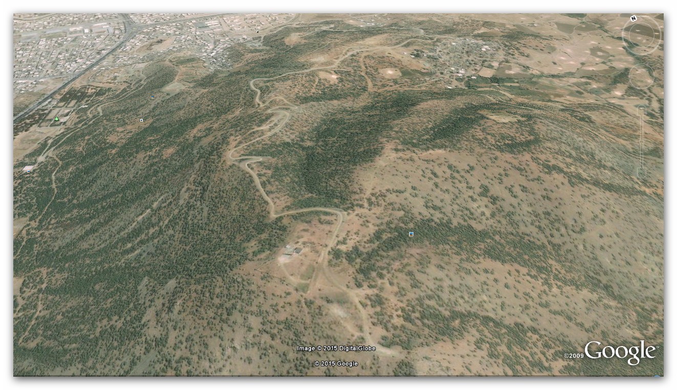 نگاهی به‌ پارک جنگلی!