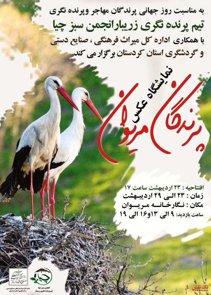 گرامیداشت روز جهانی پرندگان مهاجر و پرنده نگری