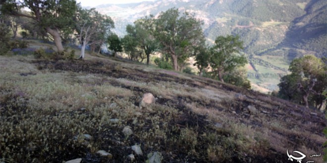 شروع آتش سوزی در جنگلها و مراتع مریوان