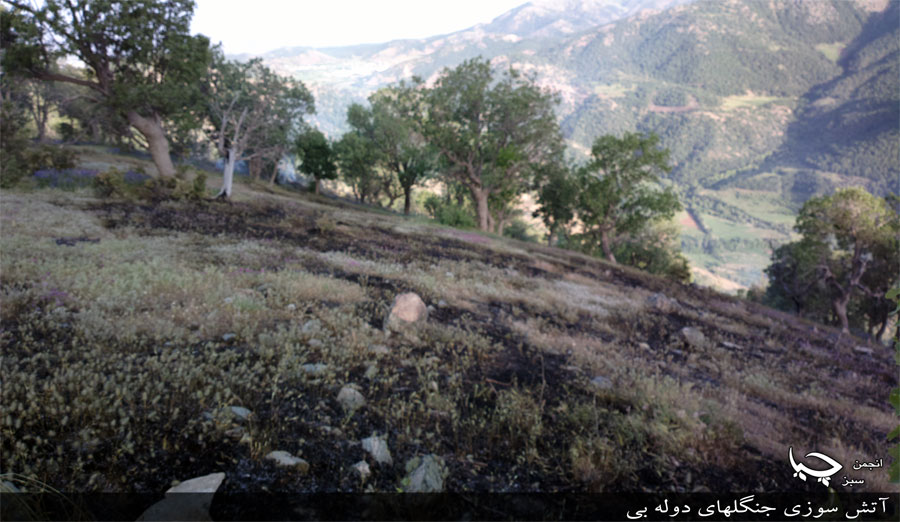 شروع آتش سوزی در جنگلها و مراتع مریوان