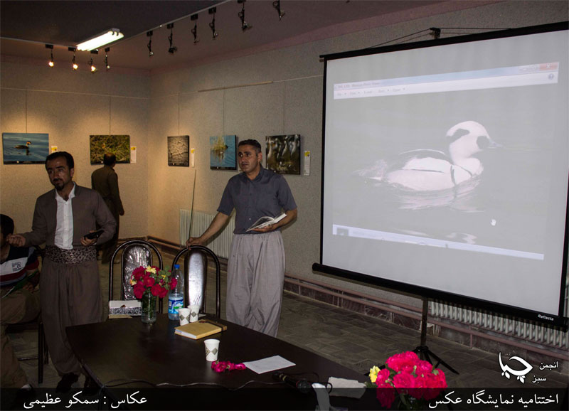 آغاز به کار نمایشگاه عکس پرندگان مریوان