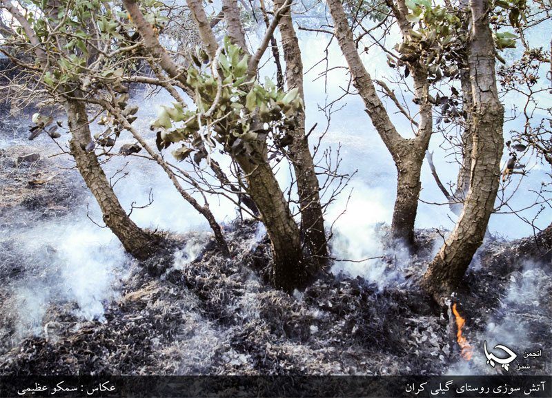 لە کوردوستان مەرگی سوور شەپۆل ئەدات