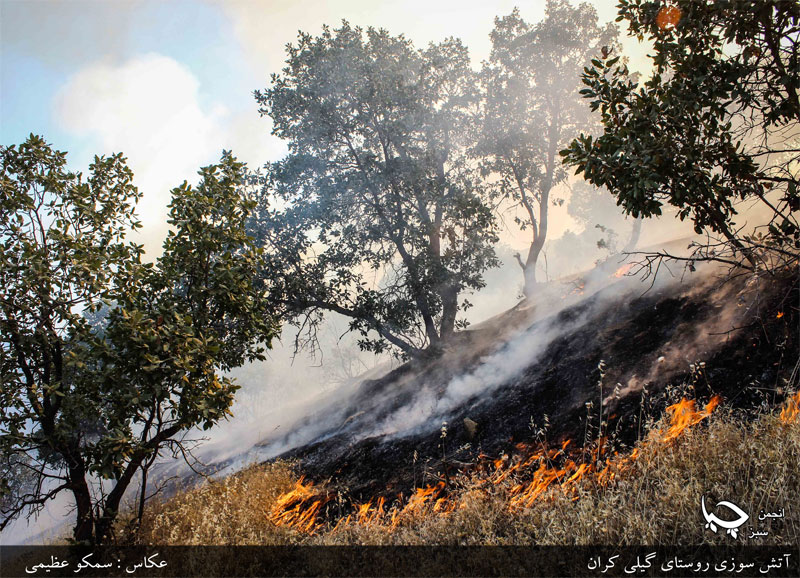 ئاگرەکانی مەریوان درێژەی هەیە