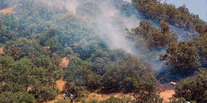 آمار آتش سوزی جنگل های زاگرس شمالی در 25 خرداد ماه  1394 محدوده شهرستان مریوان