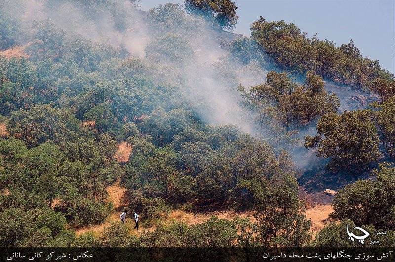 آمار آتش سوزی جنگل های زاگرس شمالی در 25 خرداد ماه  1394 محدوده شهرستان مریوان
