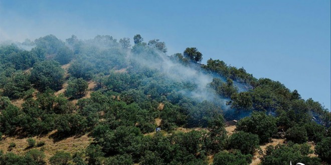 آتش سوزی های جنگل های زاگرس در 26خرداد 94 محدوده ی شهرستان مریوان و سروآباد