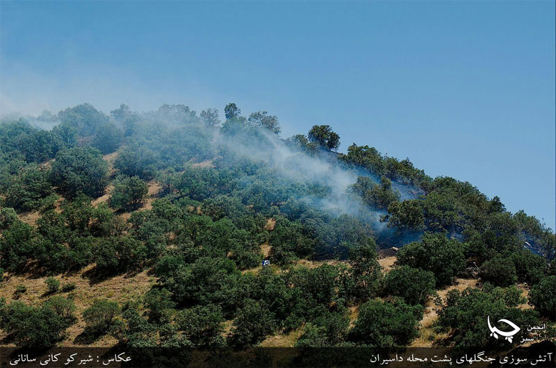 آتش سوزی های جنگل های زاگرس در 26خرداد 94 محدوده ی شهرستان مریوان و سروآباد