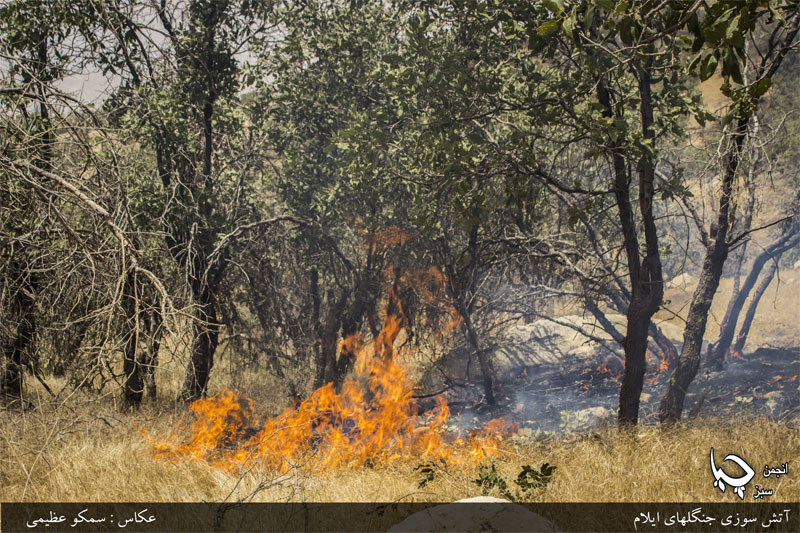 ئاگر که‌وتنه‌وه‌ له‌ ده‌شتی هه‌ڵه‌بجه‌