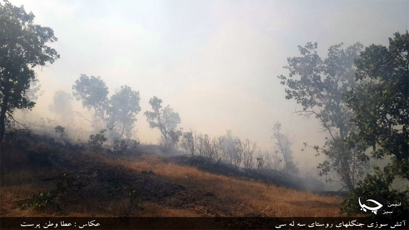 گزارش تصویری آتش سوزی جنگلهای روستای سه له سی 24 خرداد ماه