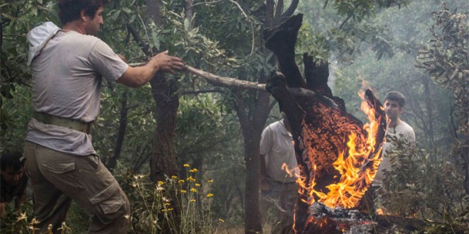 آتش سوزی هایی که کابوس طبیعت کردستان شده است.