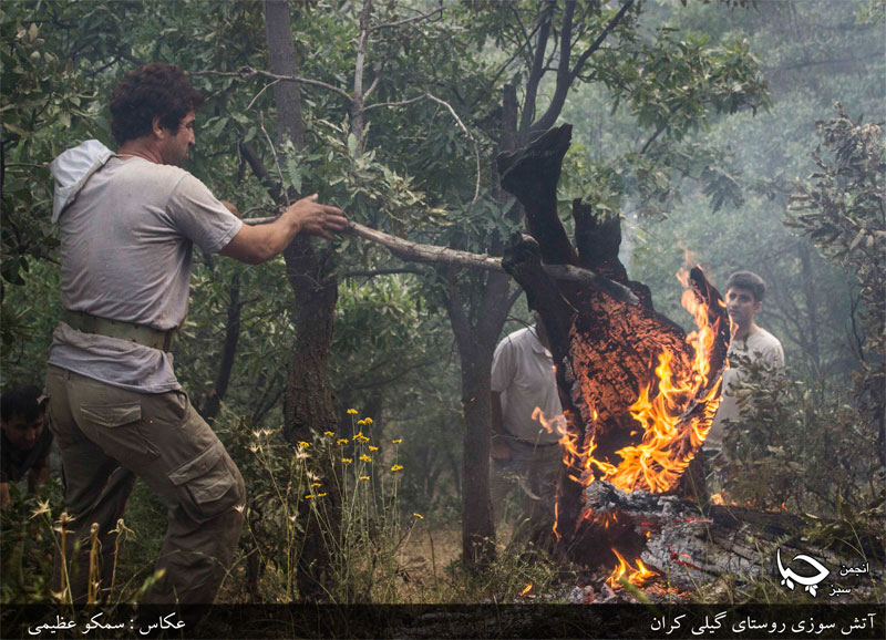 آتش سوزی هایی که‌ کابوس طبیعت کردستان شده‌ است.