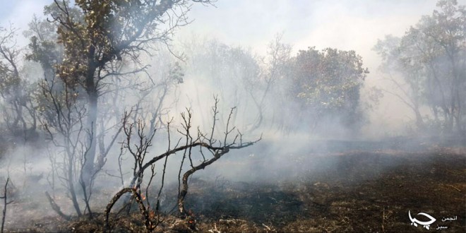 25ی جۆزهردانی 2715