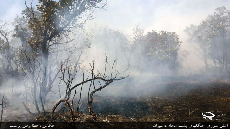 25ی جۆزه‌ردانی 2715