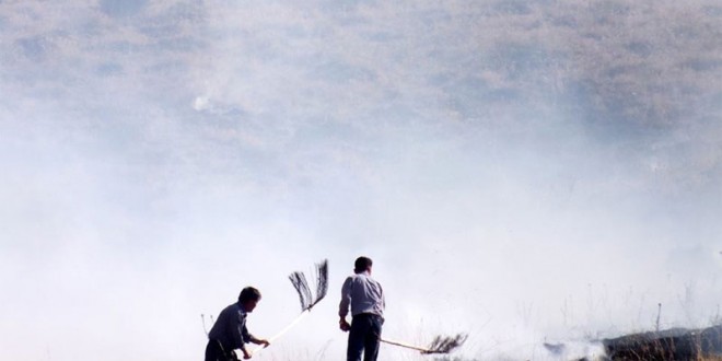 گزارش تصویری آتش سوزی نقده