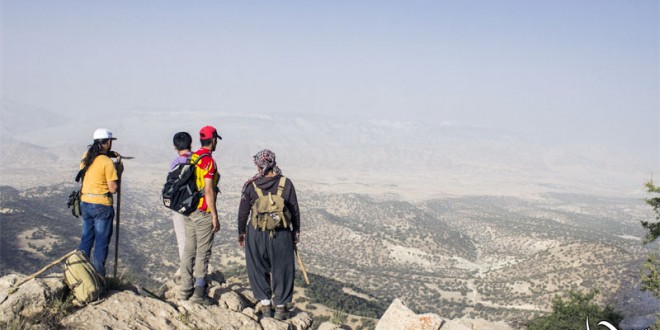 گزارش تصویری آتش سوزی جنگلهای ایلام با حضور کمیته مقابله با بحران انجمن سبز چیا