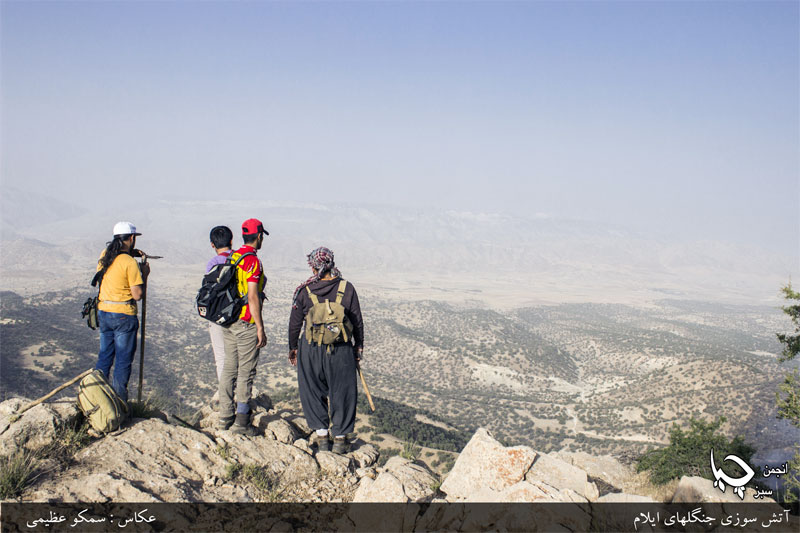 گزارش تصویری آتش سوزی جنگلهای ایلام با حضور کمیته مقابله با بحران انجمن سبز چیا