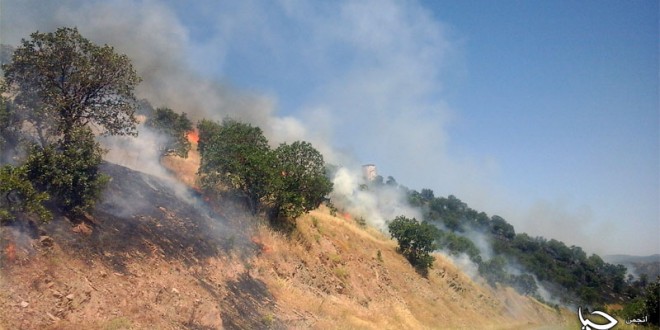 ٢٢ خرداد ١٣٩٤