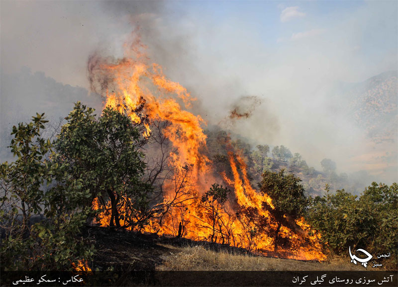 گزارش تصویری آتش سوزی های بیستم خرداد