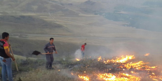 دوایین ههواڵهکانی ئاگرهکهی ئیلام