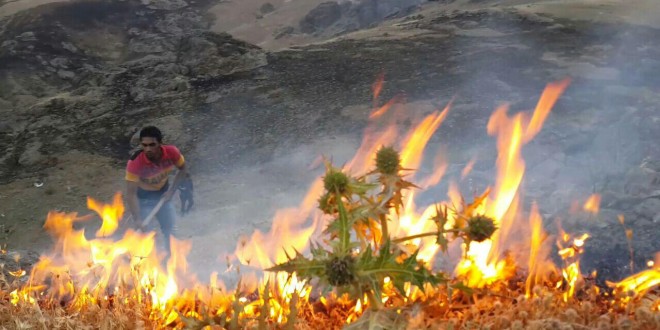 ایلام میزبان میهمان ناخواندە