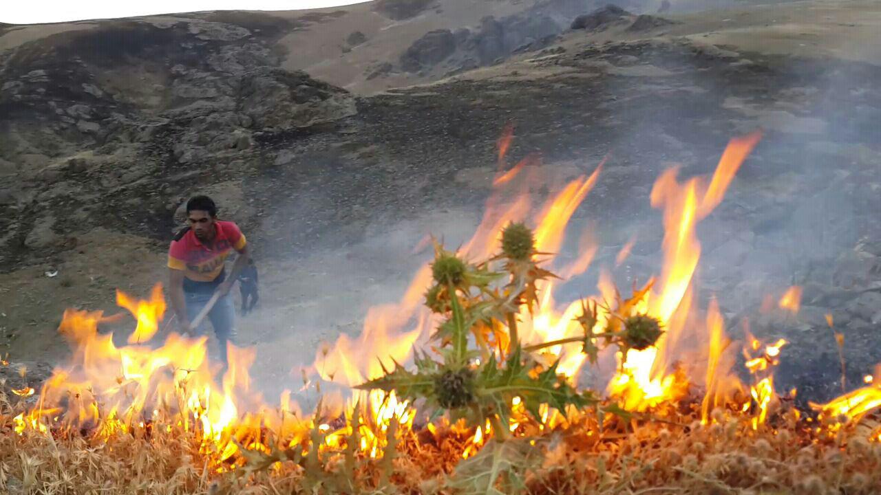 ایلام میزبان میهمان ناخواندە
