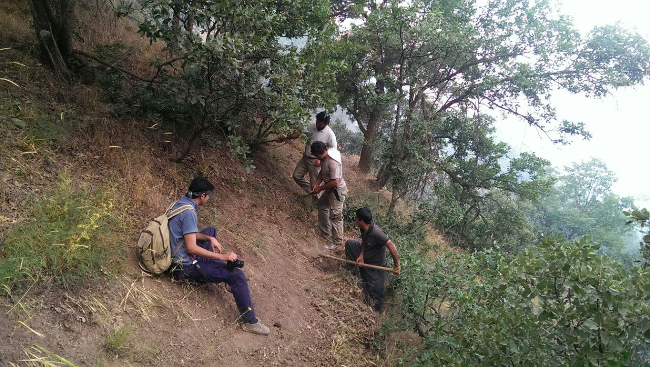 ئاگرەکانی ٢٠ی جۆزەردانی ٢٧١٥