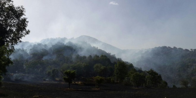 بیستم خرداد ١٣٩٤