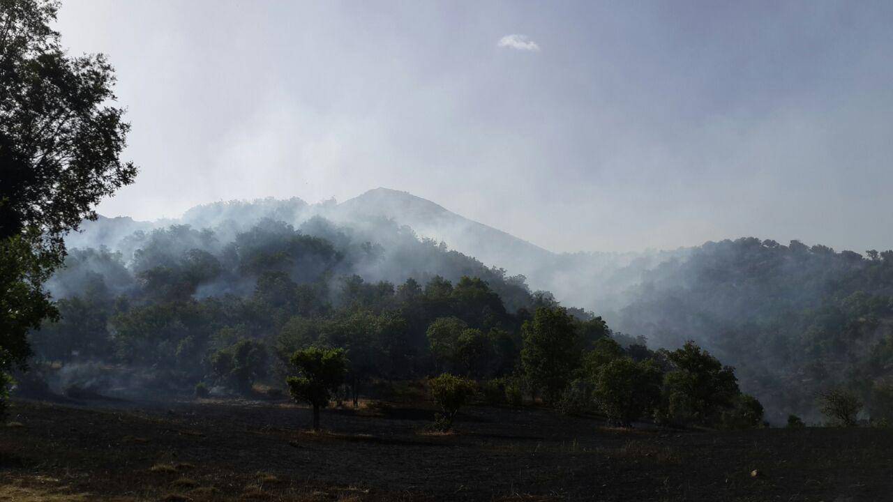 بیستم خرداد ١٣٩٤