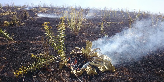 کهوتنهوهی ئاگر له نهغهده