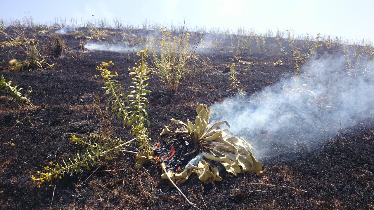 که‌وتنه‌وه‌ی ئاگر له‌ نه‌غه‌ده‌