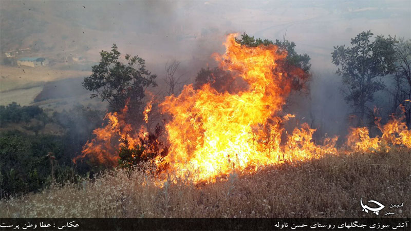 نابودی منابع طبیعی کشور، یک اقدام تروریستی است