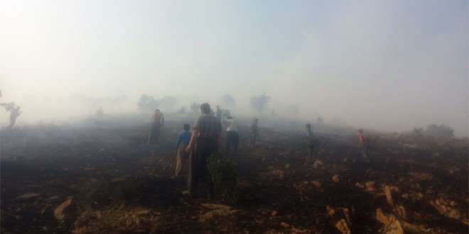 گزارش تصویری آتش سوزی روستای حسن ئاوله و محله چهارباغ مریوان(18 تیرماه 94)