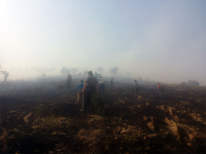 گزارش تصویری آتش سوزی روستای حسن ئاوله و محله چهارباغ مریوان(18 تیرماه 94)