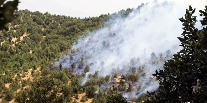 گزارش ویدیویی آتش سوزی روستای سیف