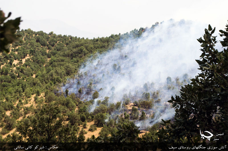 گزارش ویدیویی آتش سوزی روستای سیف