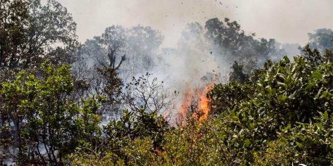 وەتەن چاوی لێمانە