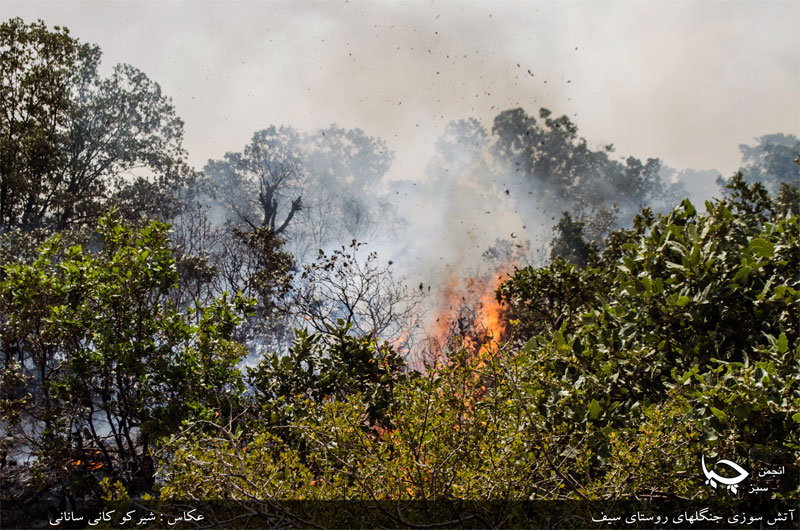 وەتەن چاوی لێمانە