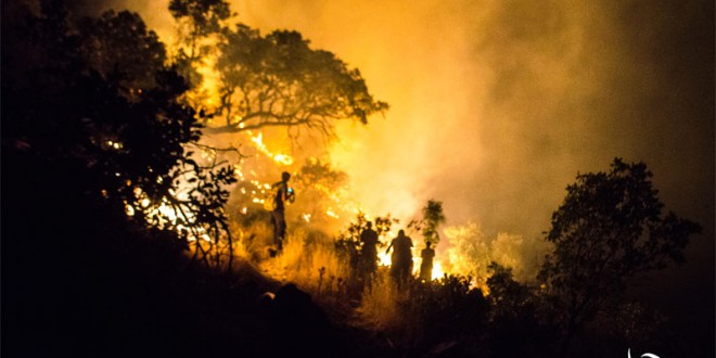 گزارش تصویری آتش سوزی جنگلهای کوه شاهو