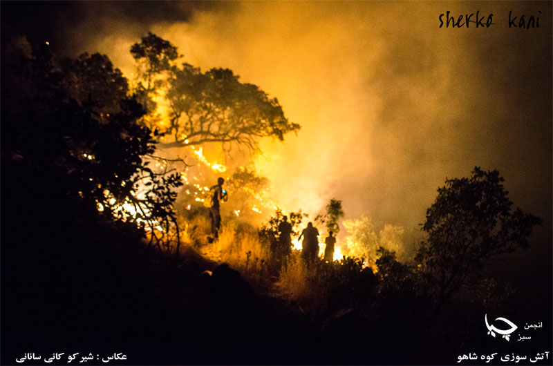 گزارش تصویری آتش سوزی جنگلهای کوه شاهو