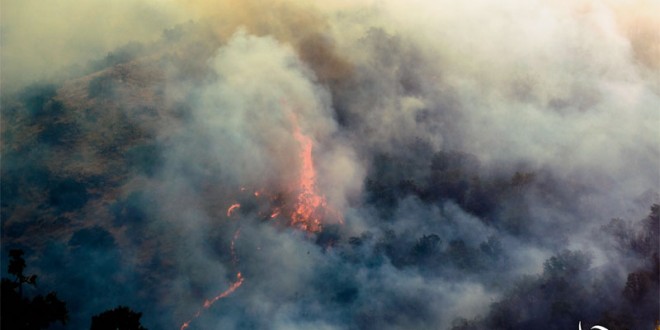 ایرانگردی «آتش»؛ چرا کسی استعفا نمیدهد