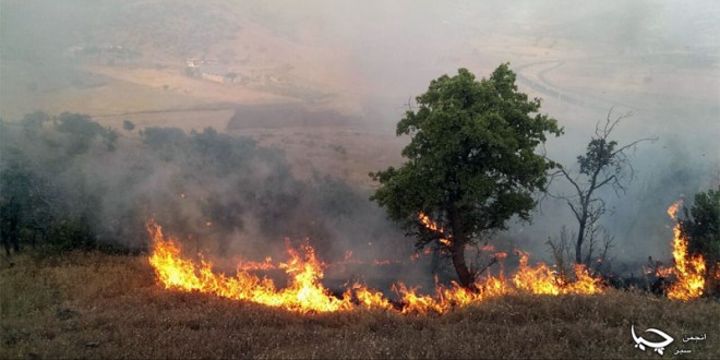 گزارش تصویری آتش سوزی روستای حسن ئاوله 13تیرماه 94