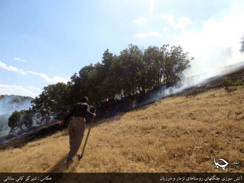 گزارش تصویری آتش سوزی جنگلهای روستای نژمار و درزیان