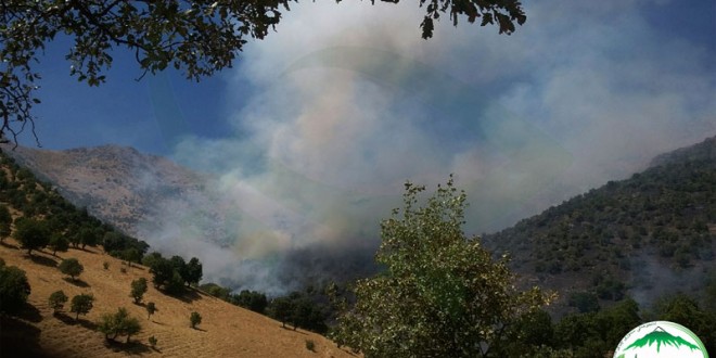 گزارش تصویری آتش سوزی منطقه “چەم شلێر”